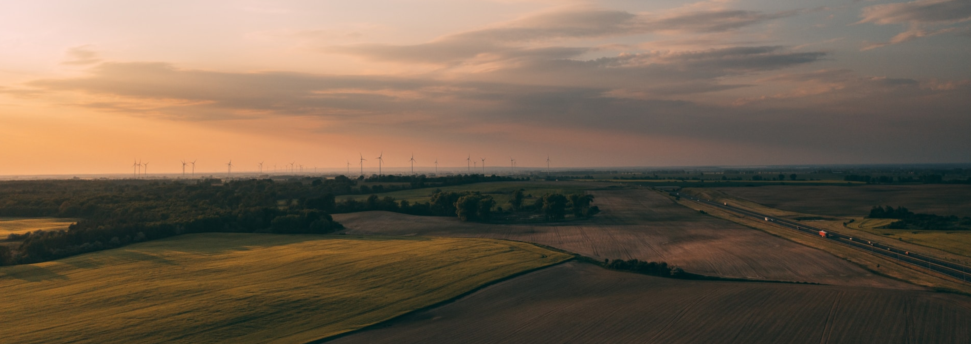 Field with wind farm in the background